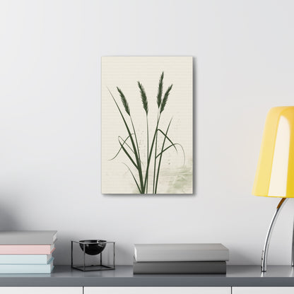 Grass Plant - Illustration Canvas Gallery Wraps