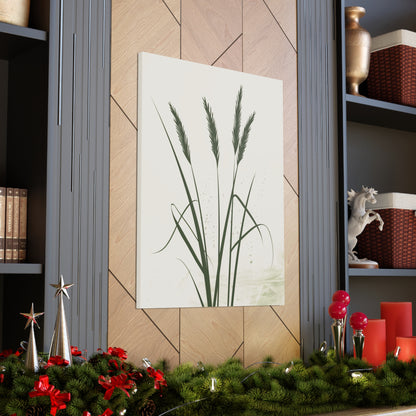 Grass Plant - Illustration Canvas Gallery Wraps