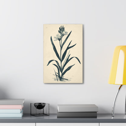 Grass Flower Digital Illustration Canvas Gallery Wraps