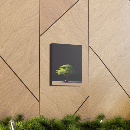 Bonsai Tree - Illustration Canvas Gallery Wraps