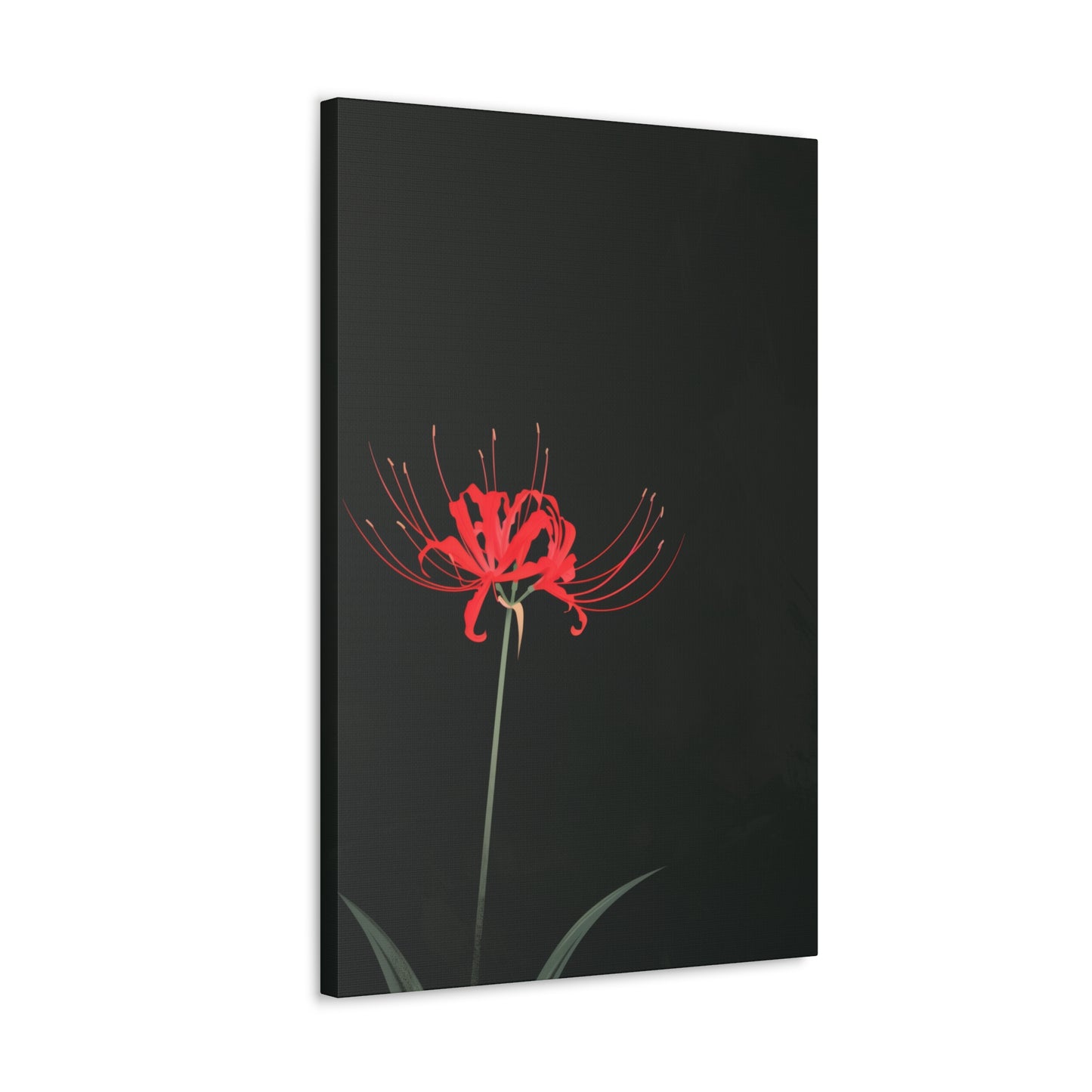 Red Spider Lily Flower Digital Illustration Canvas Gallery Wraps