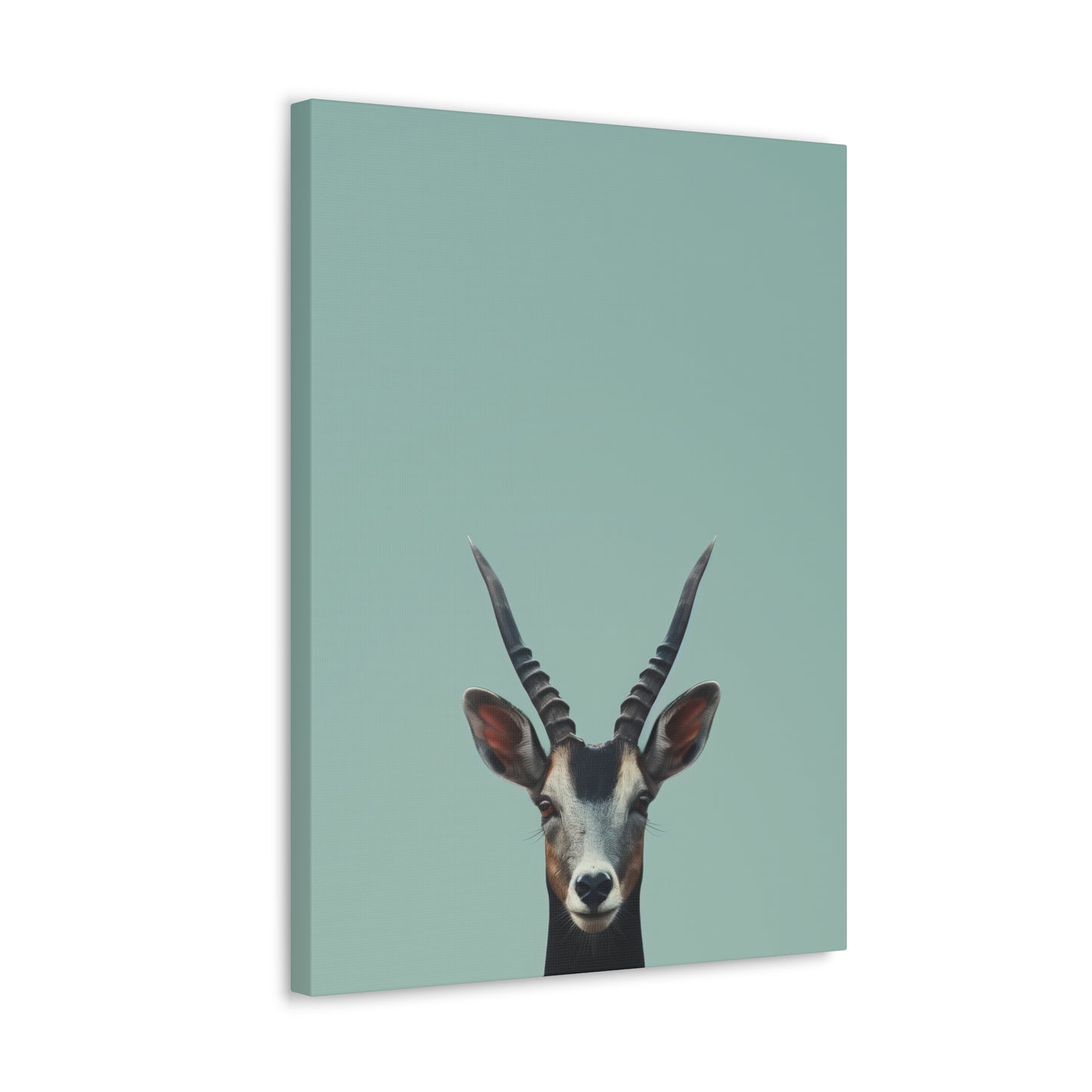 Antelope with Antlers Digital Illustration Canvas Gallery Wraps