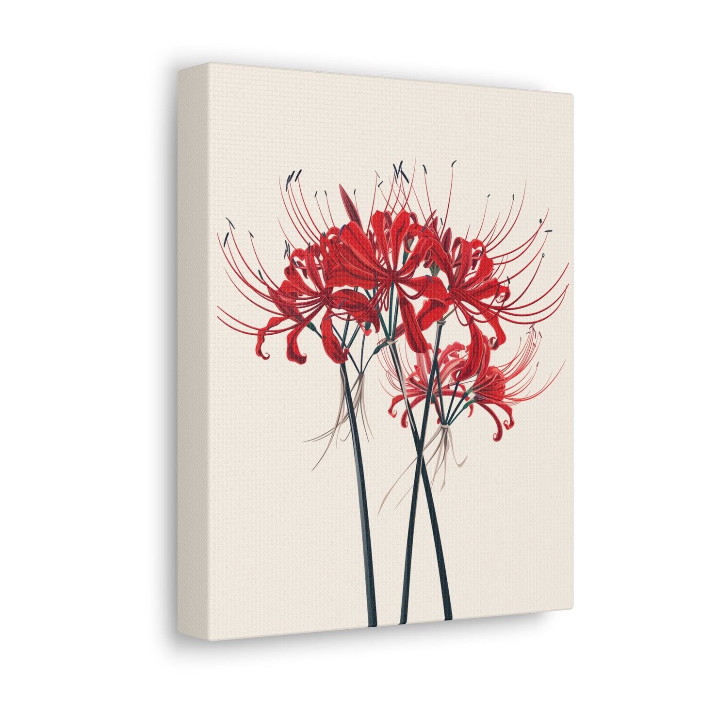 Red Spider Lily Flower Digital Illustration Canvas Gallery Wraps