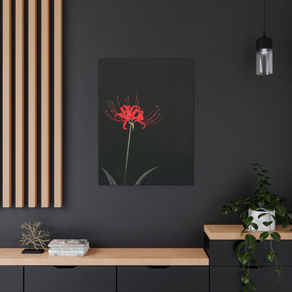 Red Spider Lily Flower Digital Illustration Canvas Gallery Wraps