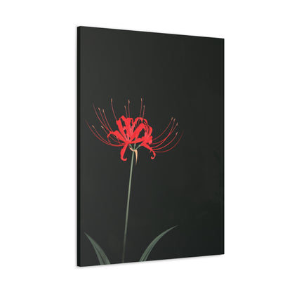 Red Spider Lily Flower Digital Illustration Canvas Gallery Wraps