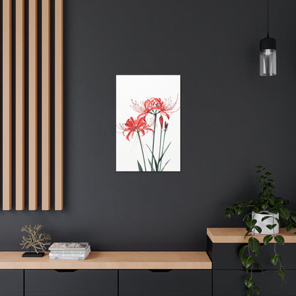 Red Spider Lily Flower Digital Illustration Canvas Gallery Wraps