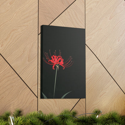 Red Spider Lily Flower Digital Illustration Canvas Gallery Wraps