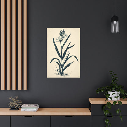 Grass Flower Digital Illustration Canvas Gallery Wraps