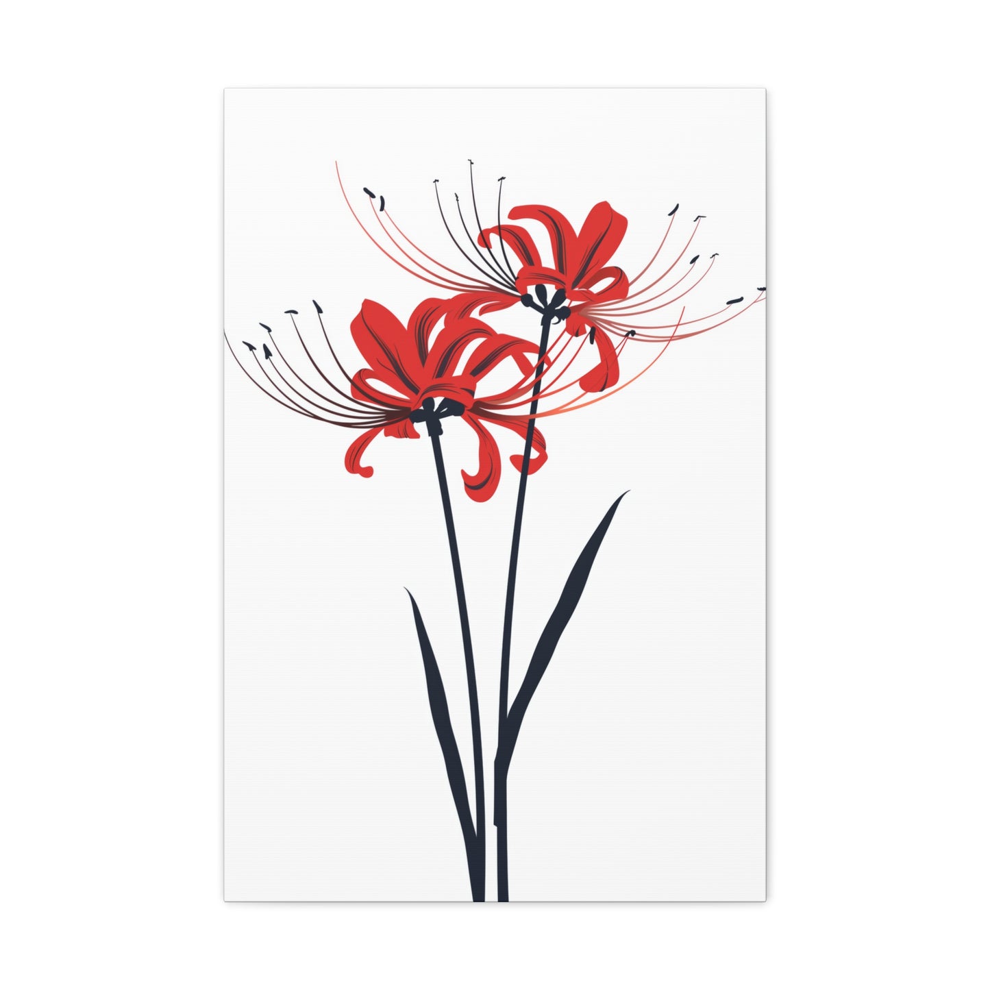 Red Spider Lily Flower Digital Illustration Canvas Gallery Wraps