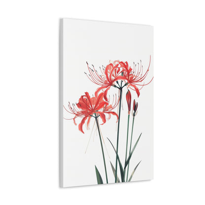 Red Spider Lily Flower Digital Illustration Canvas Gallery Wraps