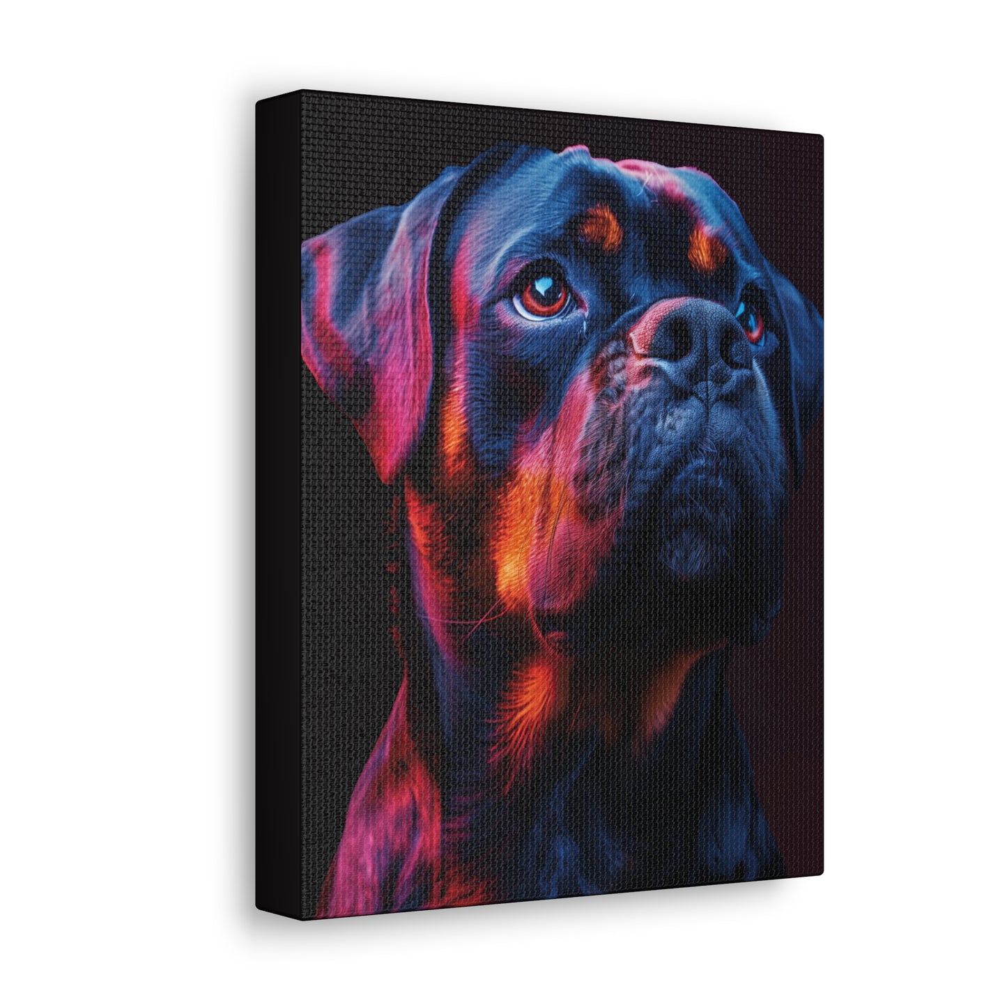 Rottweiler Dog - Abstract Illustration Canvas Gallery Wraps