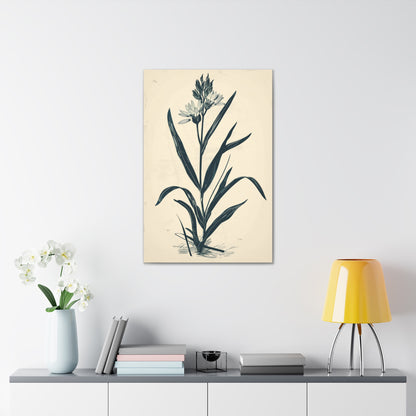 Grass Flower Digital Illustration Canvas Gallery Wraps