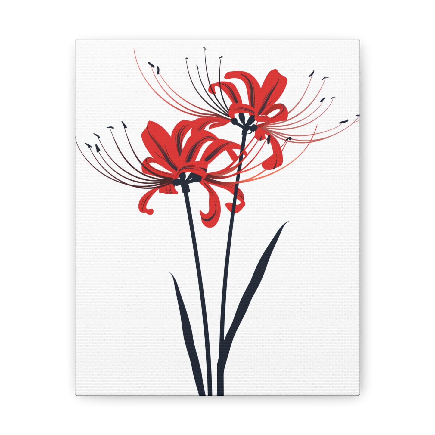 Red Spider Lily Flower Digital Illustration Canvas Gallery Wraps