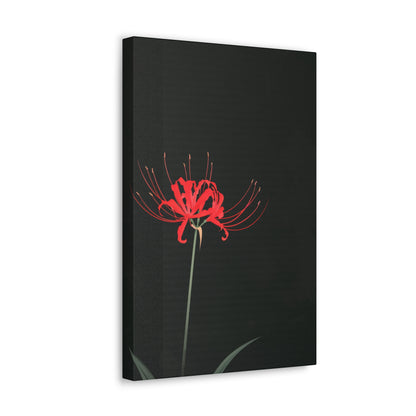 Red Spider Lily Flower Digital Illustration Canvas Gallery Wraps