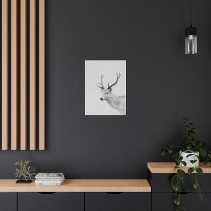 White Reindeer Digital Illustration Canvas Gallery Wraps