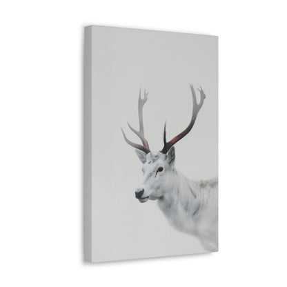 White Reindeer Digital Illustration Canvas Gallery Wraps