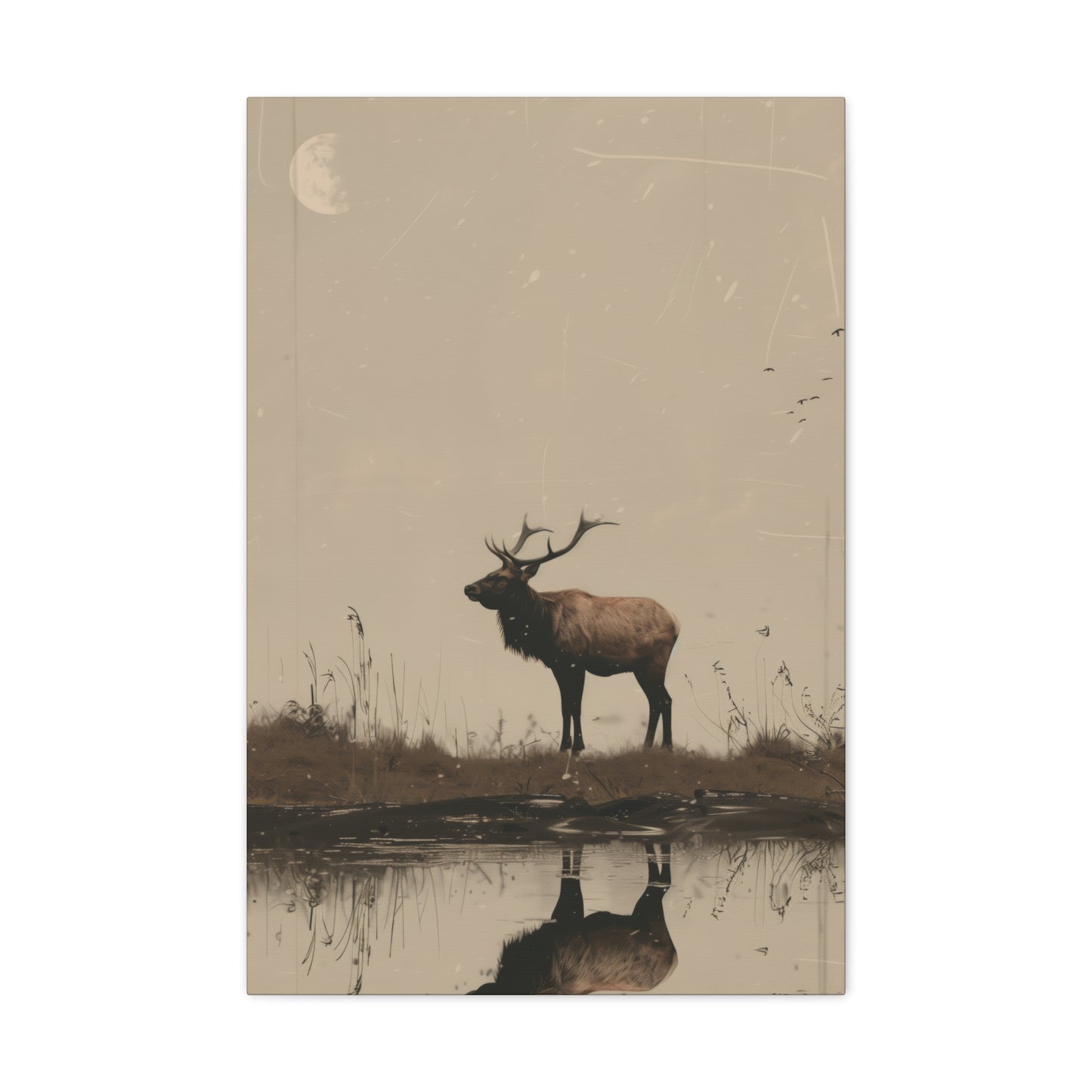 Moose Digital Illustration Canvas Gallery Wraps