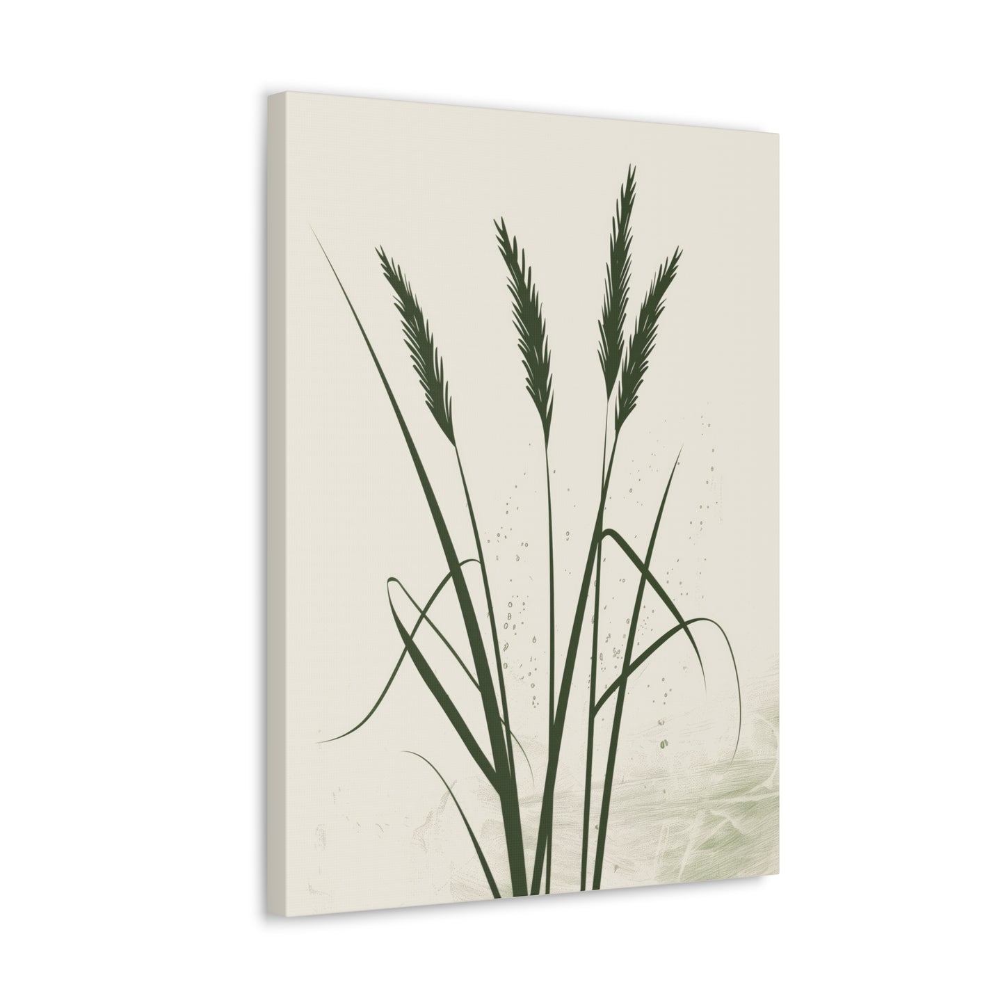 Grass Plant - Illustration Canvas Gallery Wraps