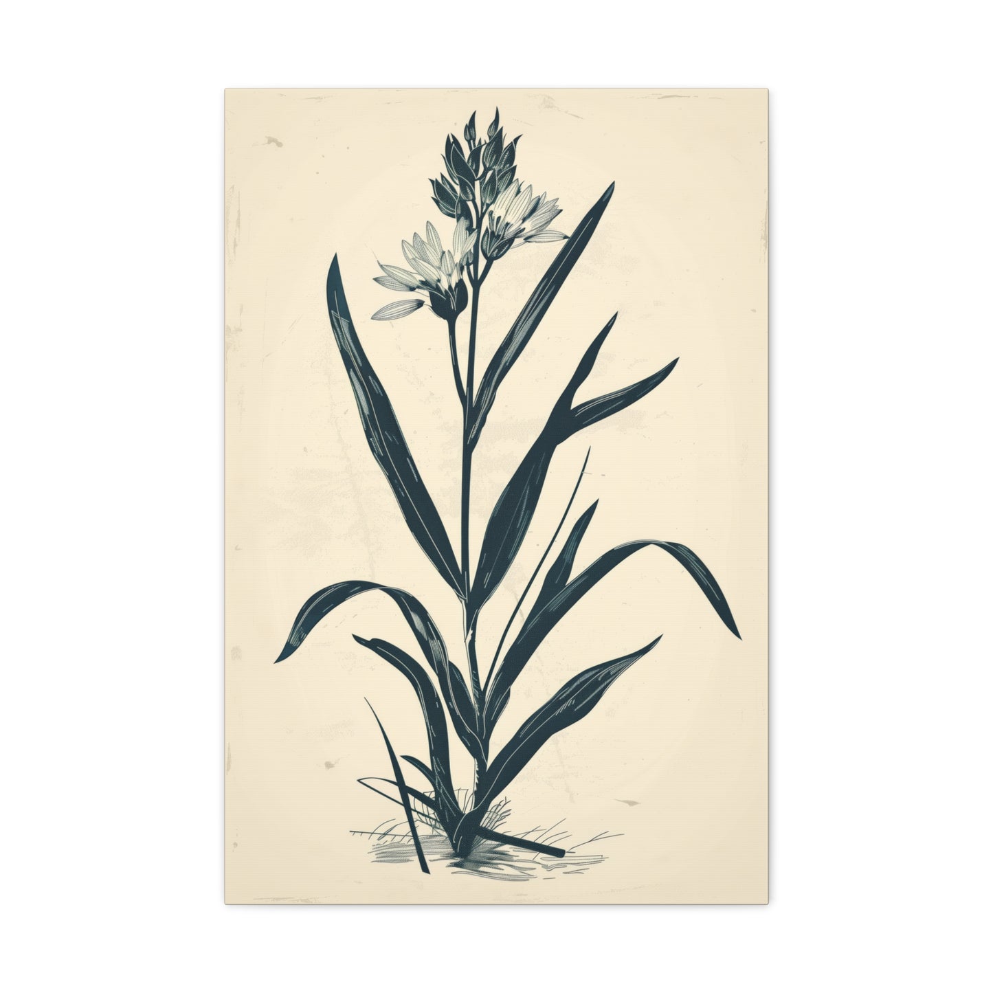 Grass Flower Digital Illustration Canvas Gallery Wraps