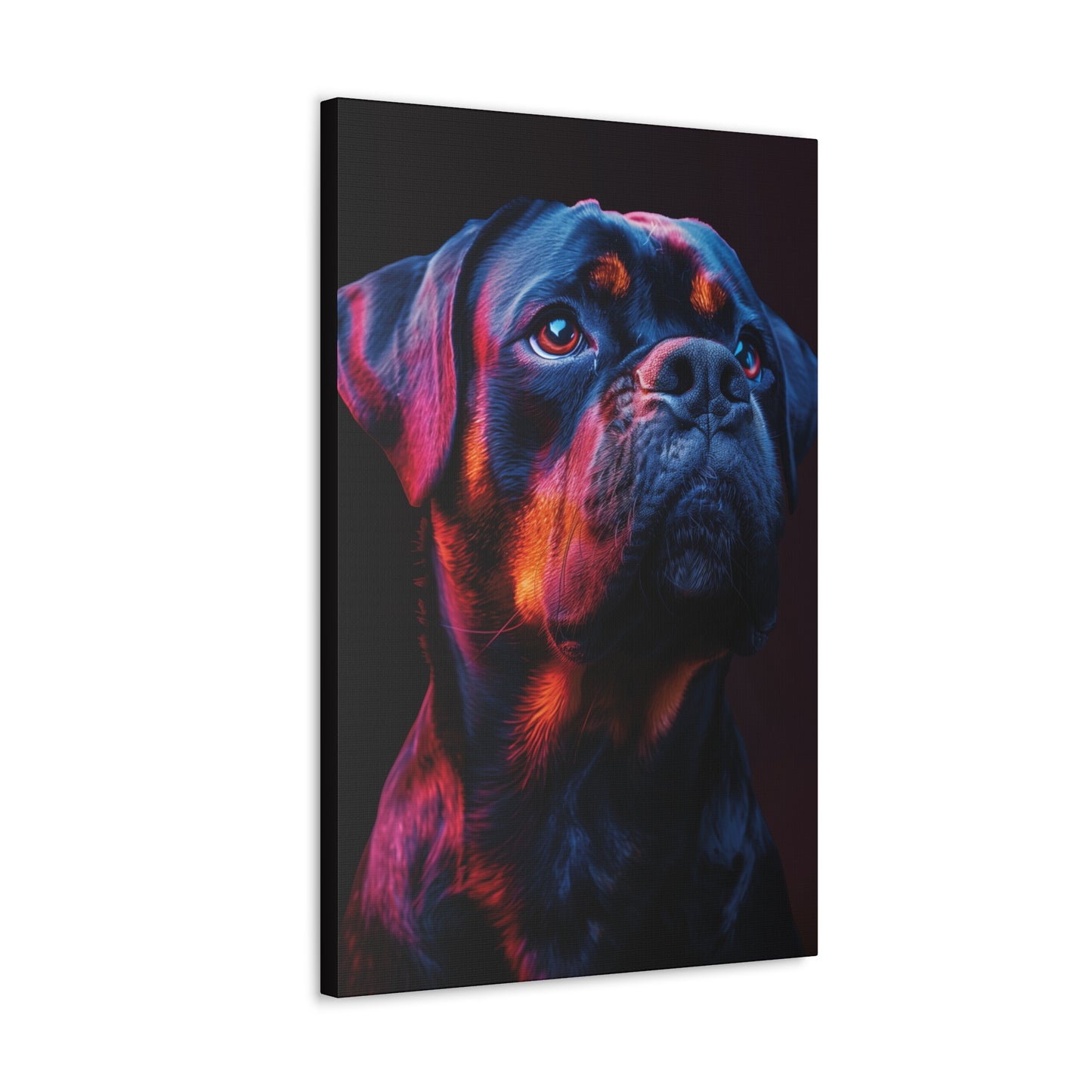 Rottweiler Dog - Abstract Illustration Canvas Gallery Wraps