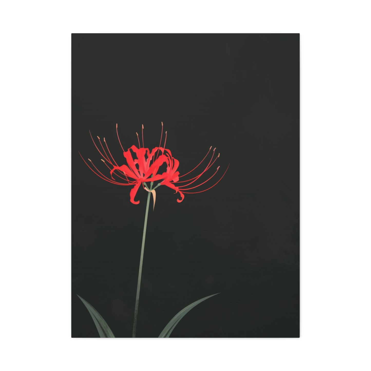 Red Spider Lily Flower Digital Illustration Canvas Gallery Wraps