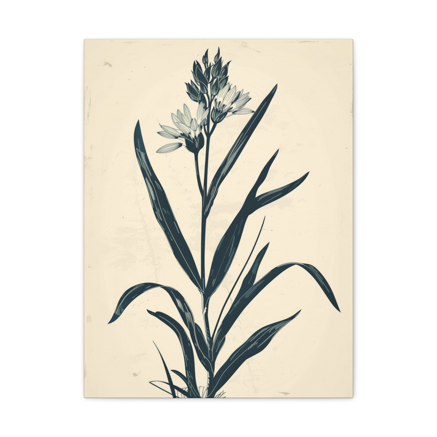 Grass Flower Digital Illustration Canvas Gallery Wraps