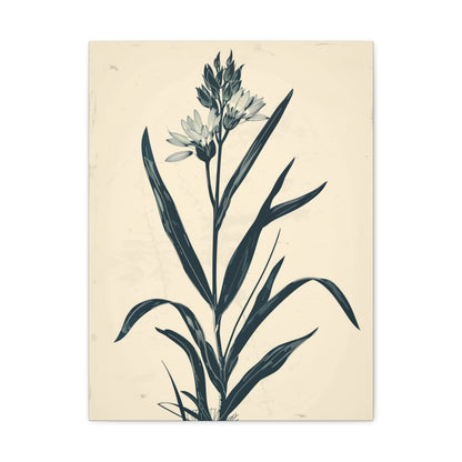 Grass Flower Digital Illustration Canvas Gallery Wraps