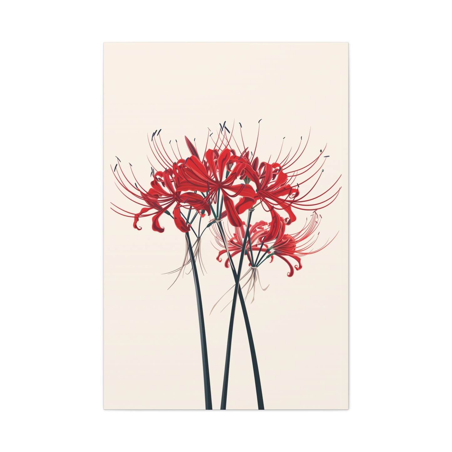 Red Spider Lily Flower Digital Illustration Canvas Gallery Wraps