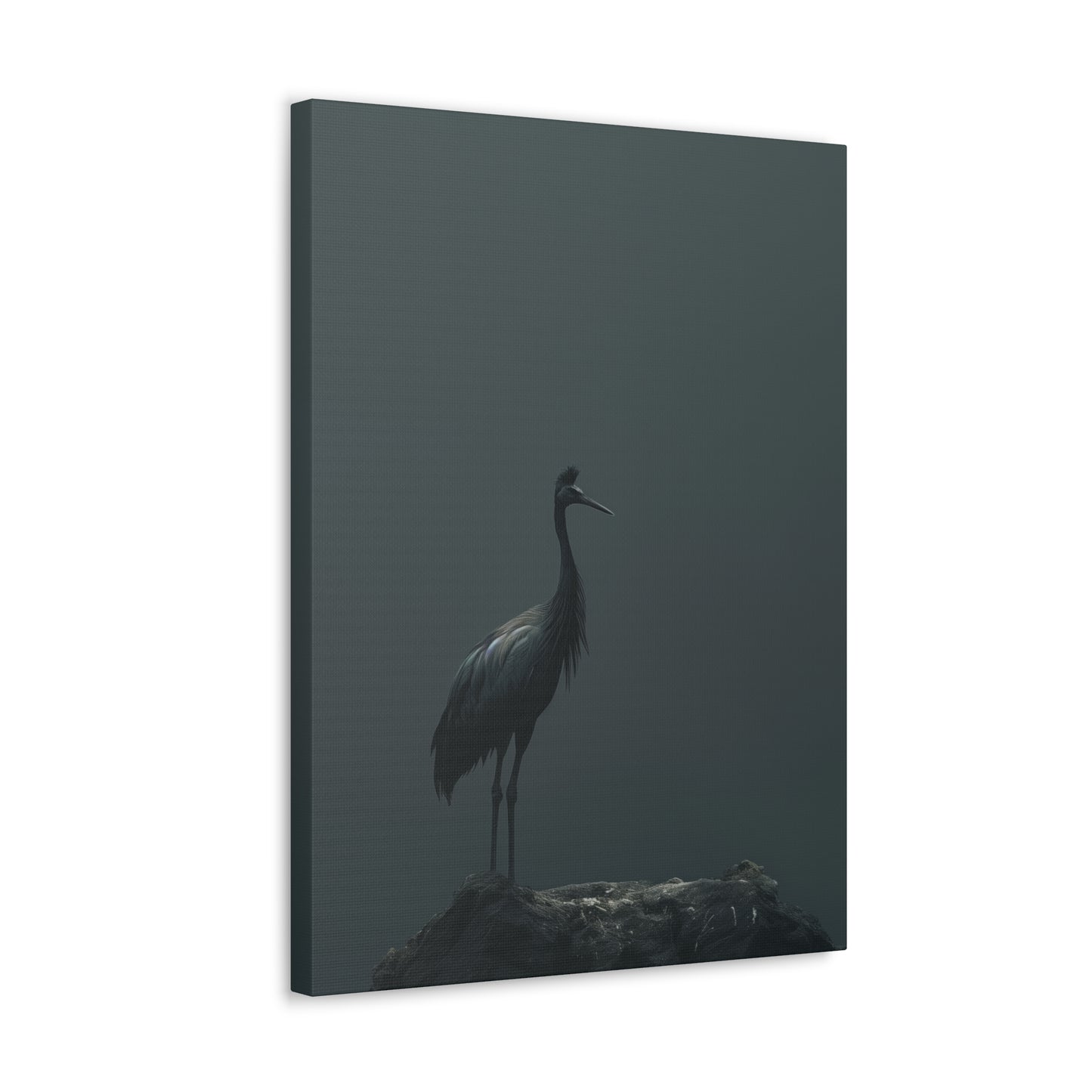 Egret Digital Illustration Canvas Gallery Wraps