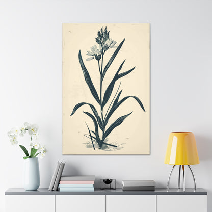 Grass Flower Digital Illustration Canvas Gallery Wraps