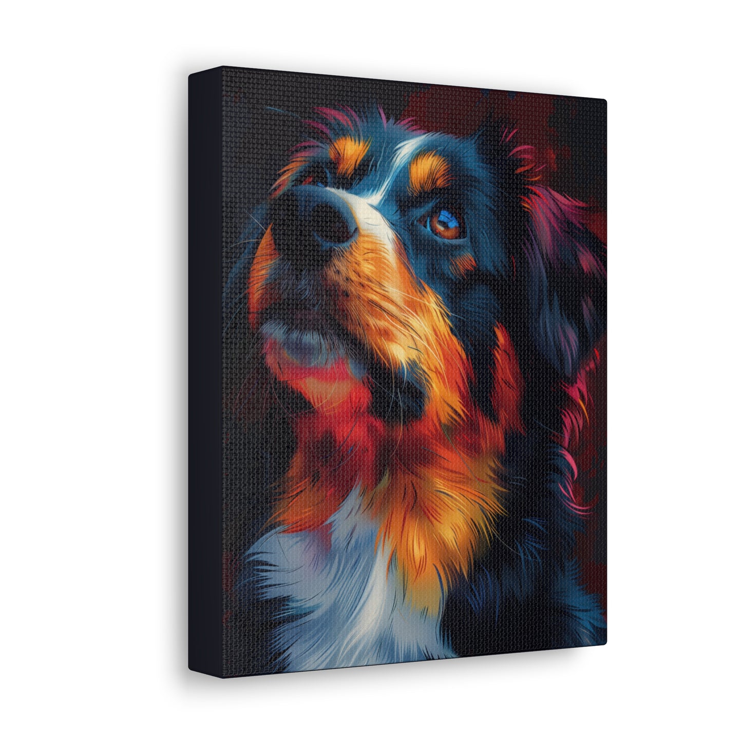 Border Collie - Abstract Illustration Canvas Gallery Wraps