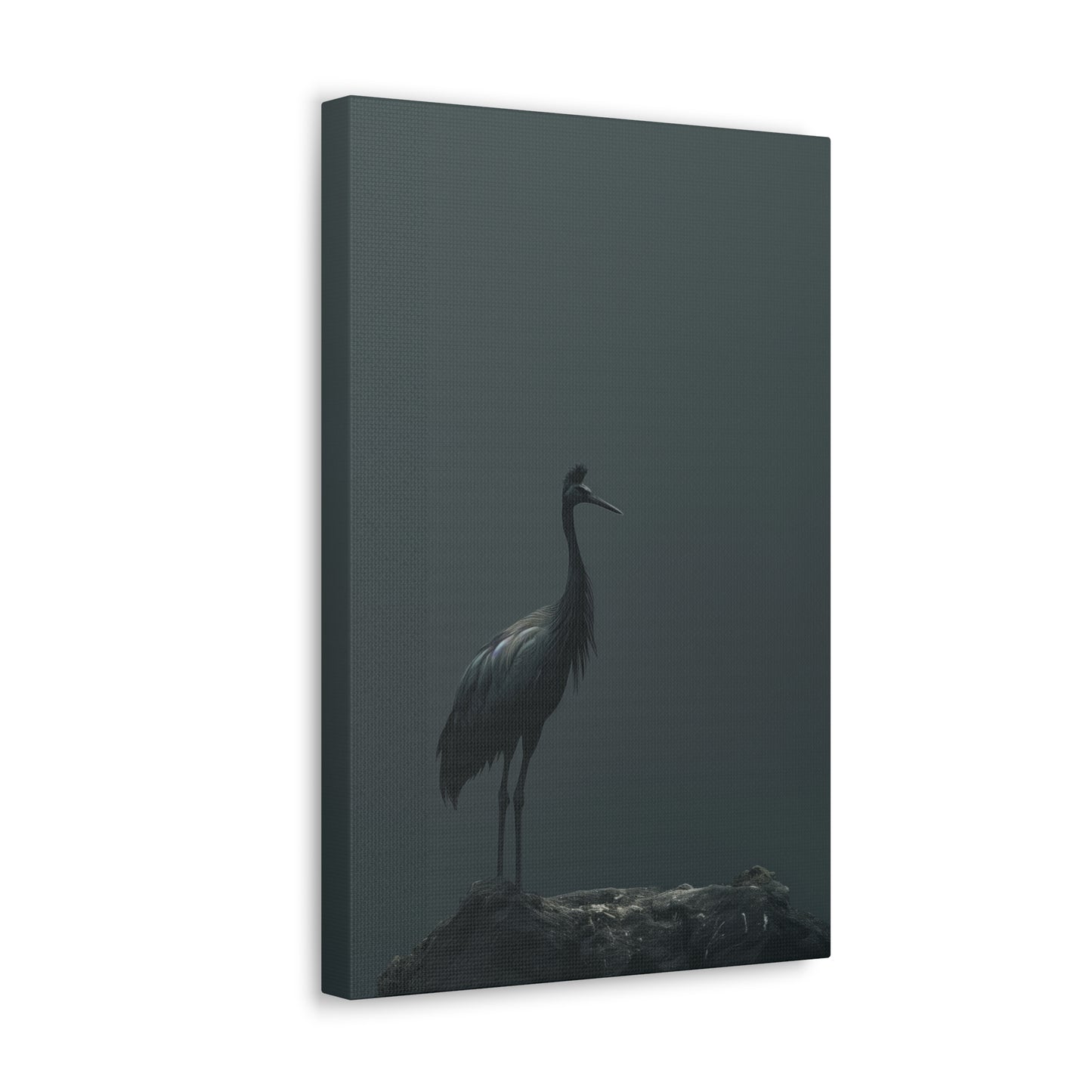 Egret Digital Illustration Canvas Gallery Wraps