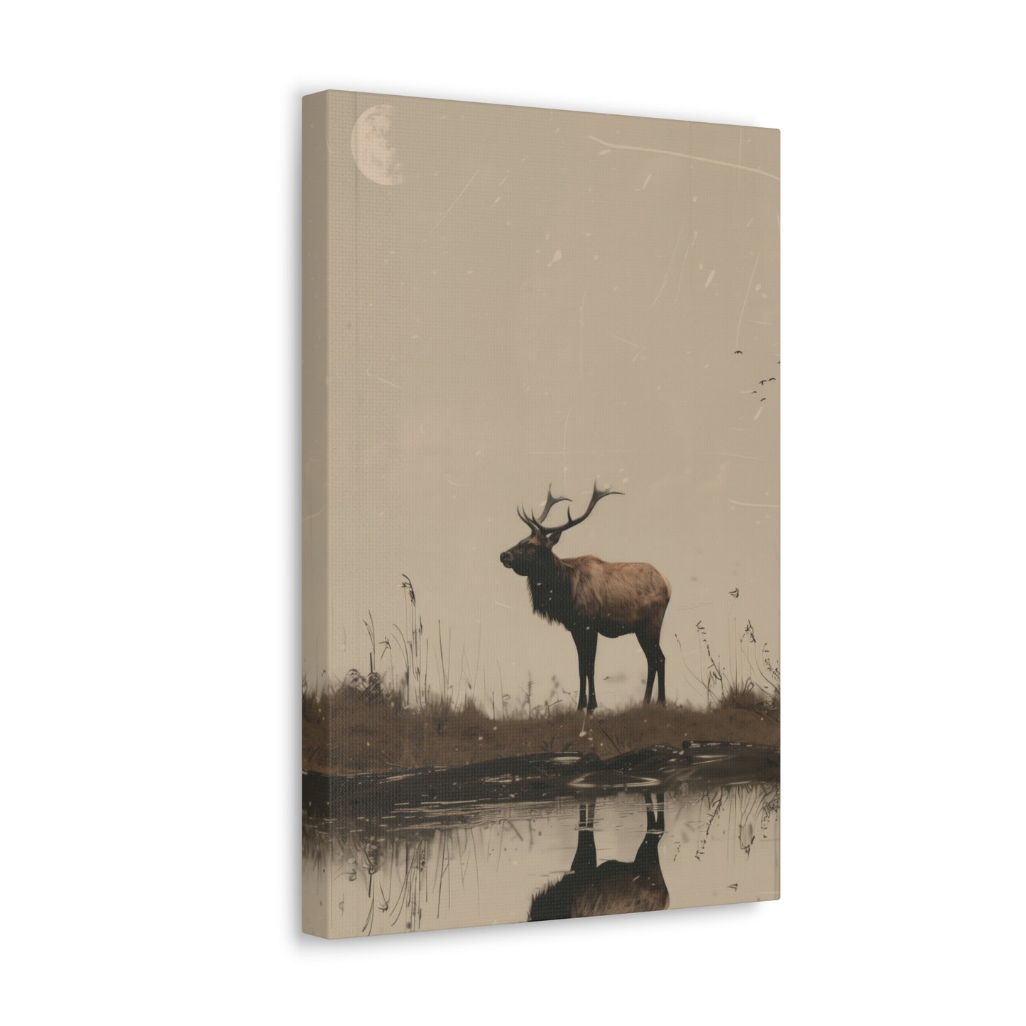 Moose Digital Illustration Canvas Gallery Wraps