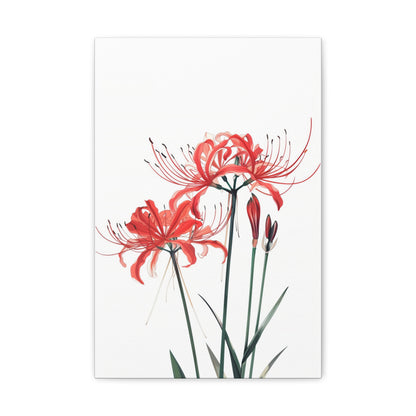 Red Spider Lily Flower Digital Illustration Canvas Gallery Wraps