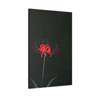 Red Spider Lily Flower Digital Illustration Canvas Gallery Wraps