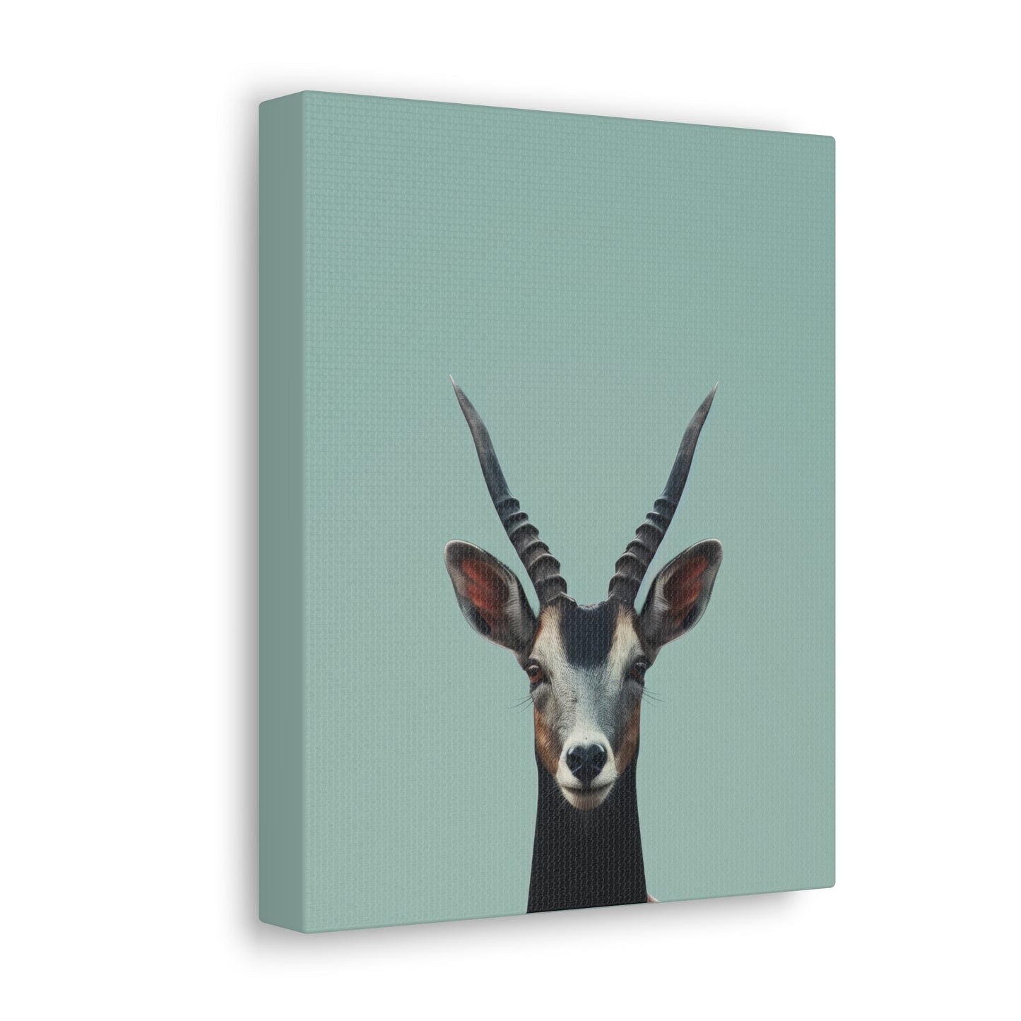 Antelope with Antlers Digital Illustration Canvas Gallery Wraps