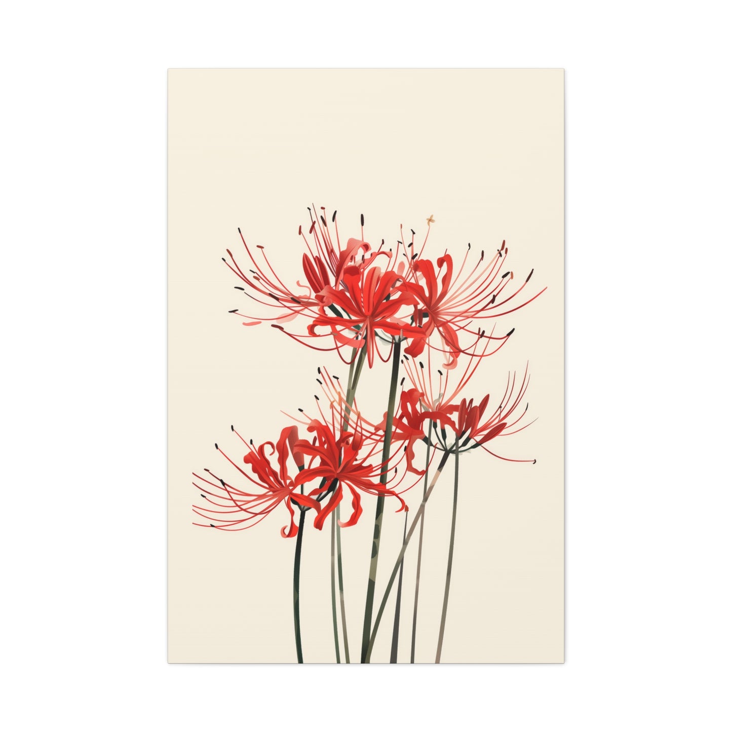 Red Spider Lily Flower Digital Illustration Canvas Gallery Wraps