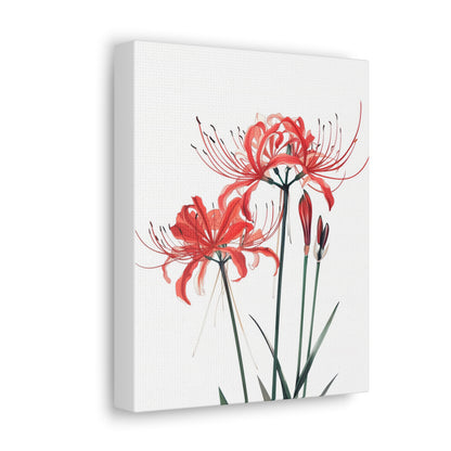 Red Spider Lily Flower Digital Illustration Canvas Gallery Wraps