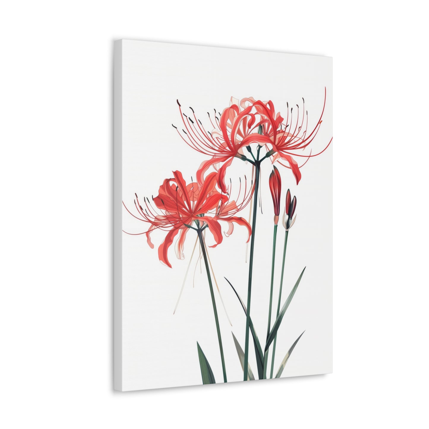 Red Spider Lily Flower Digital Illustration Canvas Gallery Wraps