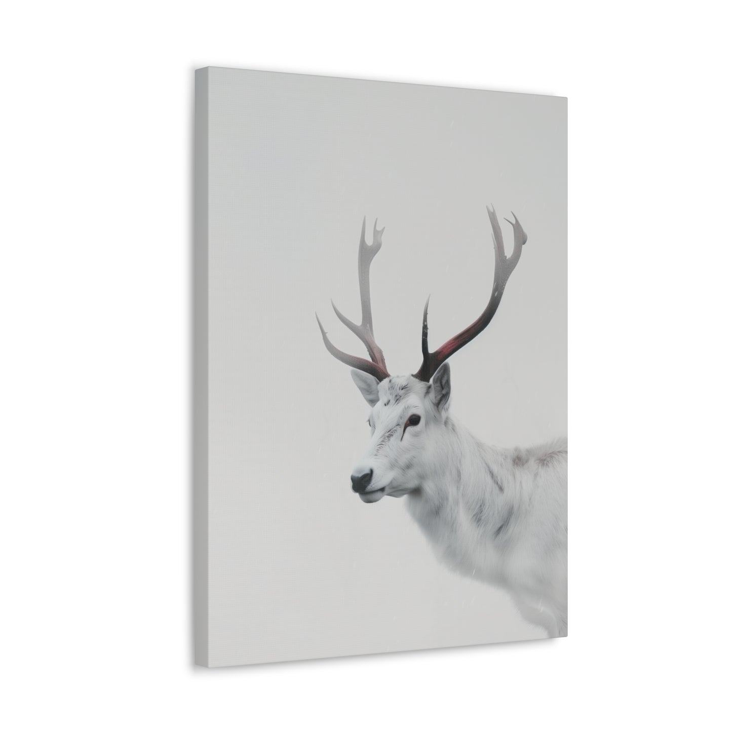 White Reindeer Digital Illustration Canvas Gallery Wraps