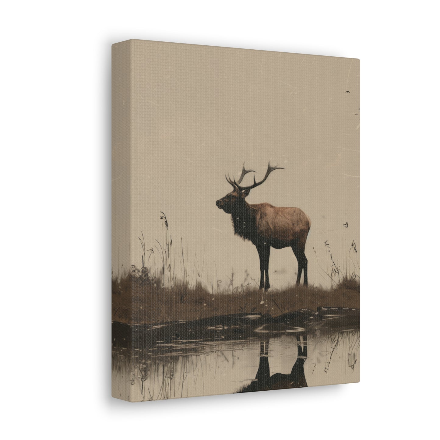 Moose Digital Illustration Canvas Gallery Wraps