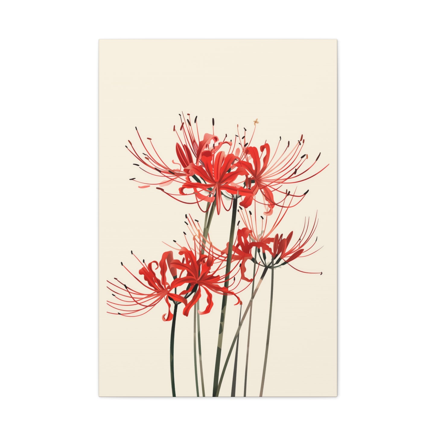 Red Spider Lily Flower Digital Illustration Canvas Gallery Wraps