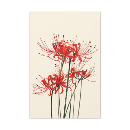 Red Spider Lily Flower Digital Illustration Canvas Gallery Wraps