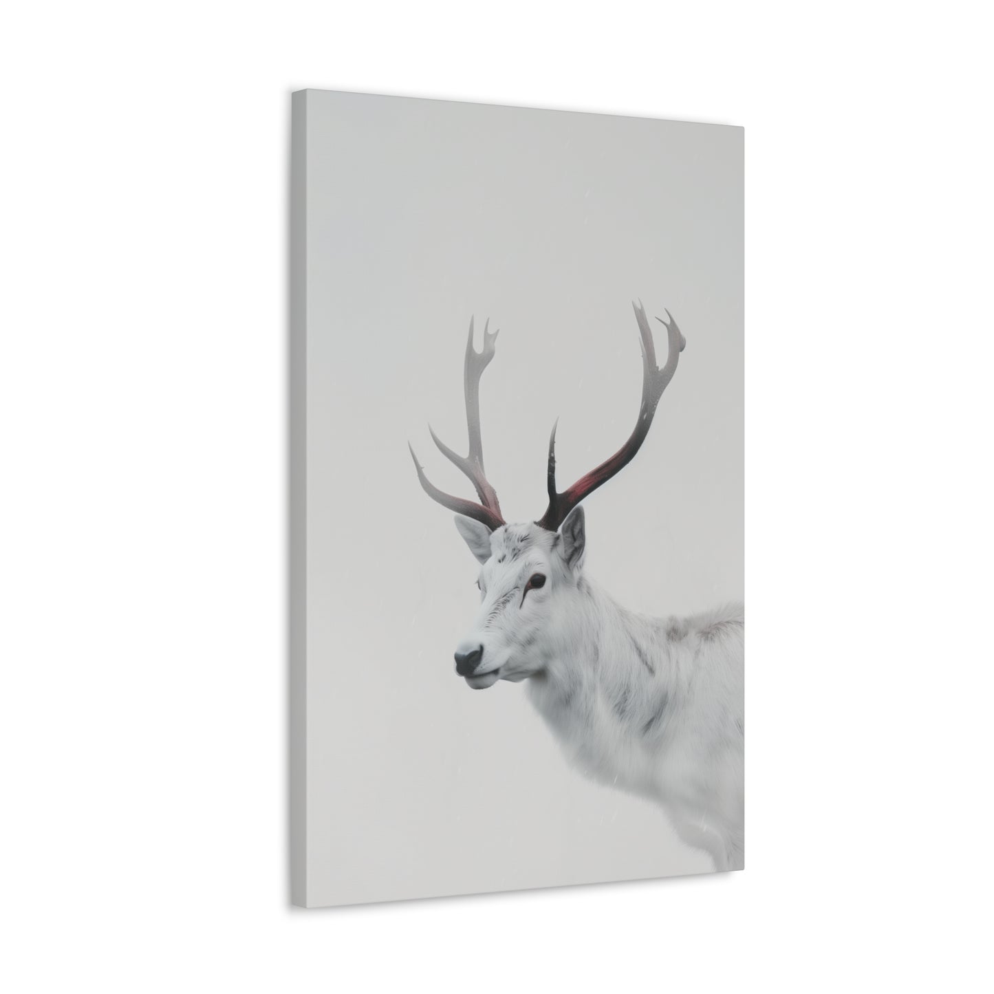 White Reindeer Digital Illustration Canvas Gallery Wraps