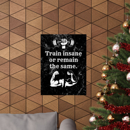 Train Insane or Remain the Same: Motivational Gym Poster - Digital Illustration Matte Vertical Poster