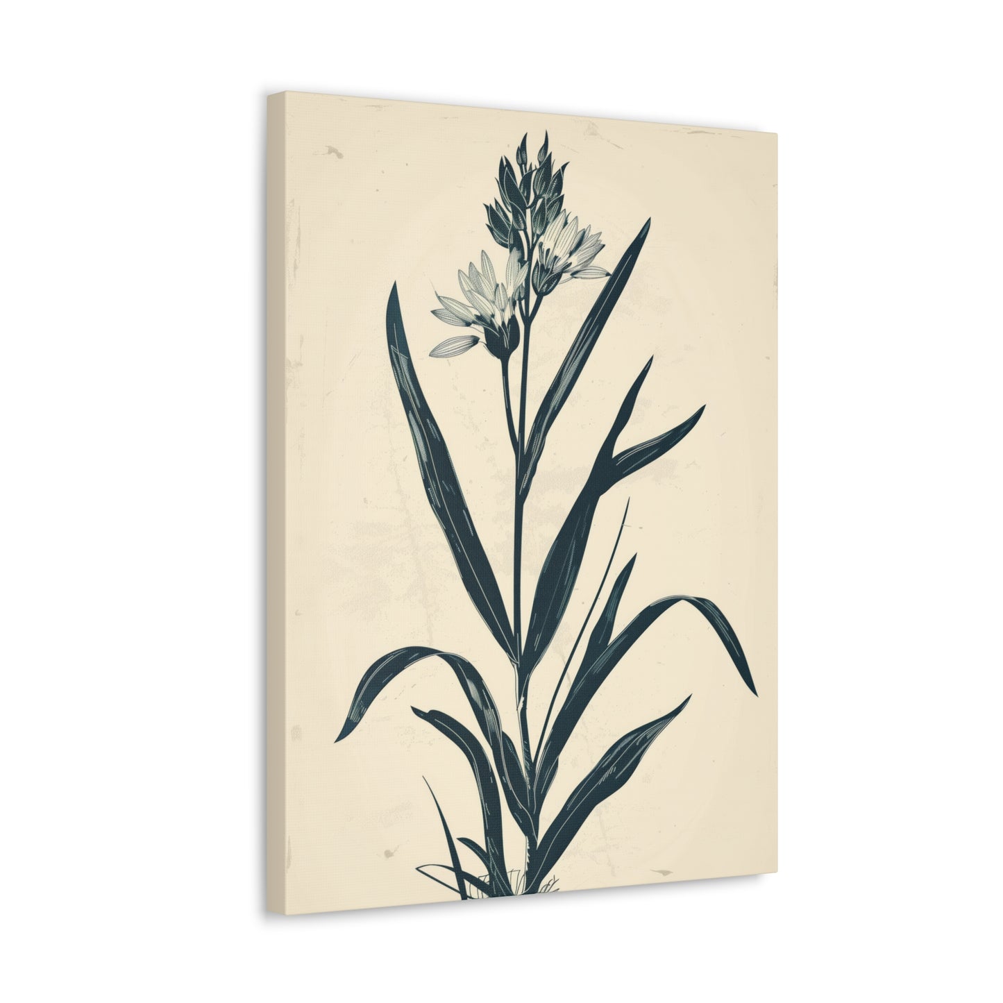 Grass Flower Digital Illustration Canvas Gallery Wraps