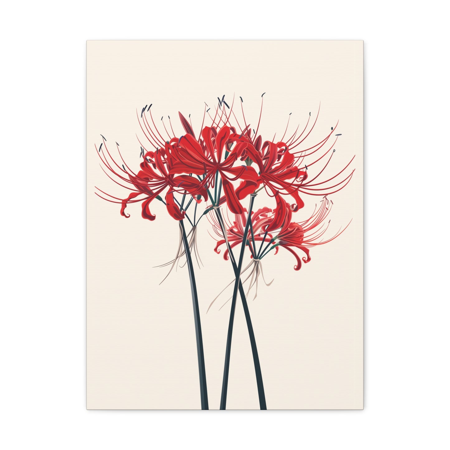 Red Spider Lily Flower Digital Illustration Canvas Gallery Wraps