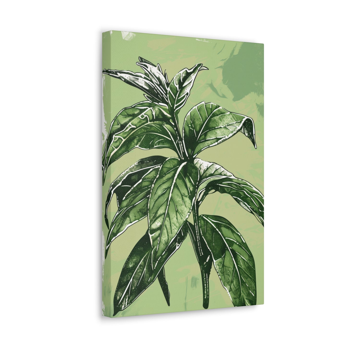 Plant Leaves Digital Illustration Canvas Gallery Wraps