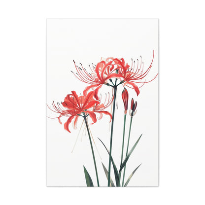 Red Spider Lily Flower Digital Illustration Canvas Gallery Wraps