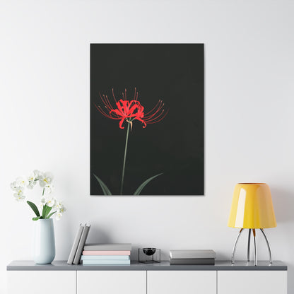 Red Spider Lily Flower Digital Illustration Canvas Gallery Wraps